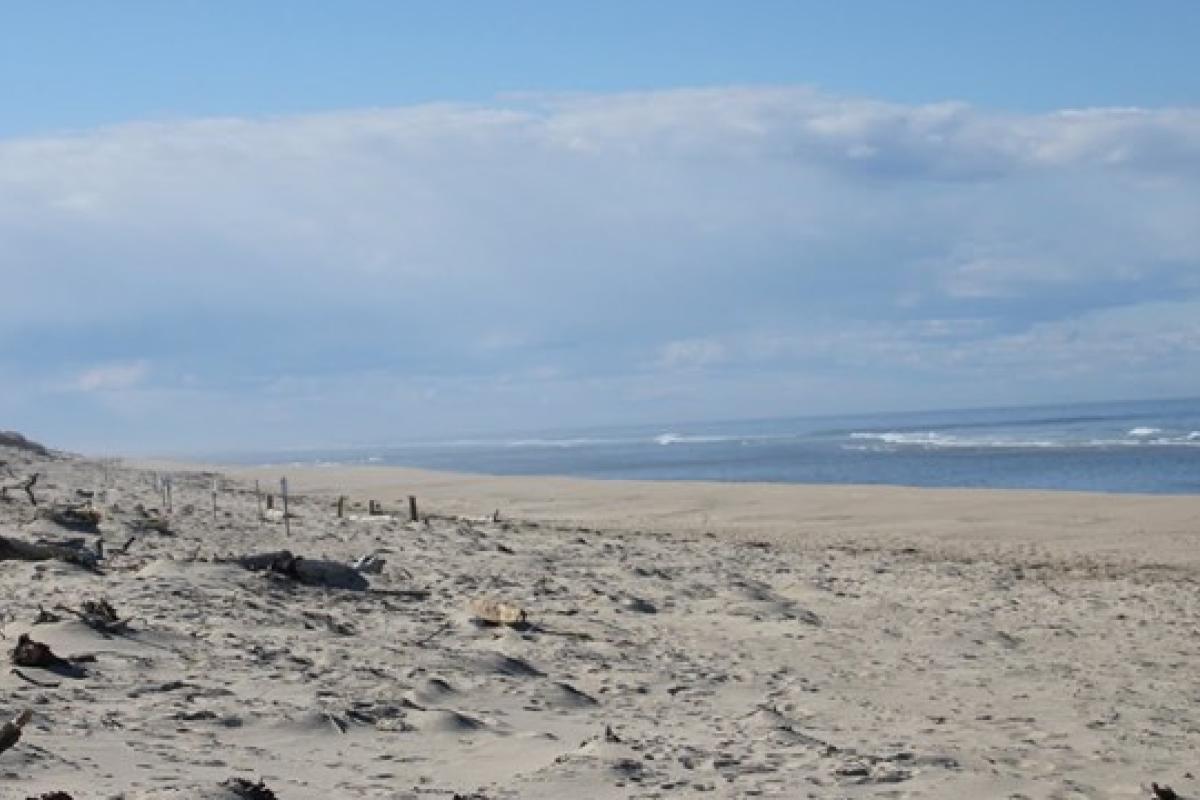 Head of the Meadow Beach on a Cloudy Day