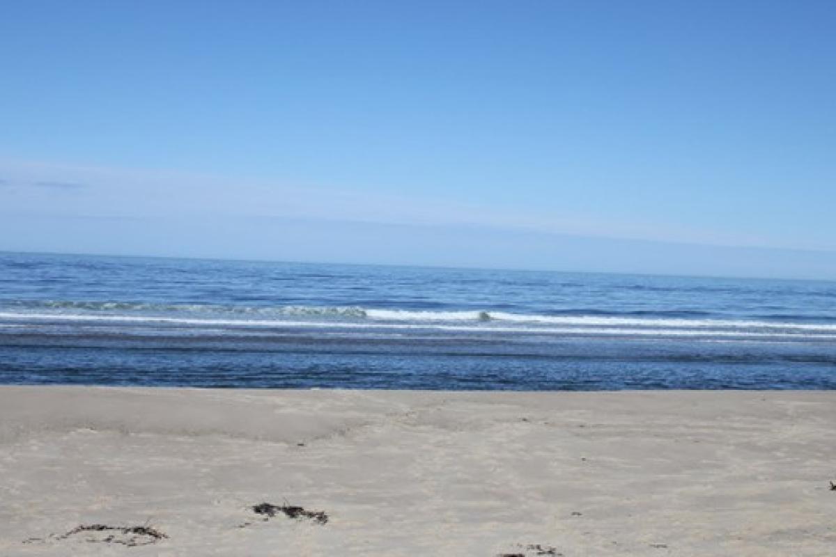 Head of the Meadow Beach Waves