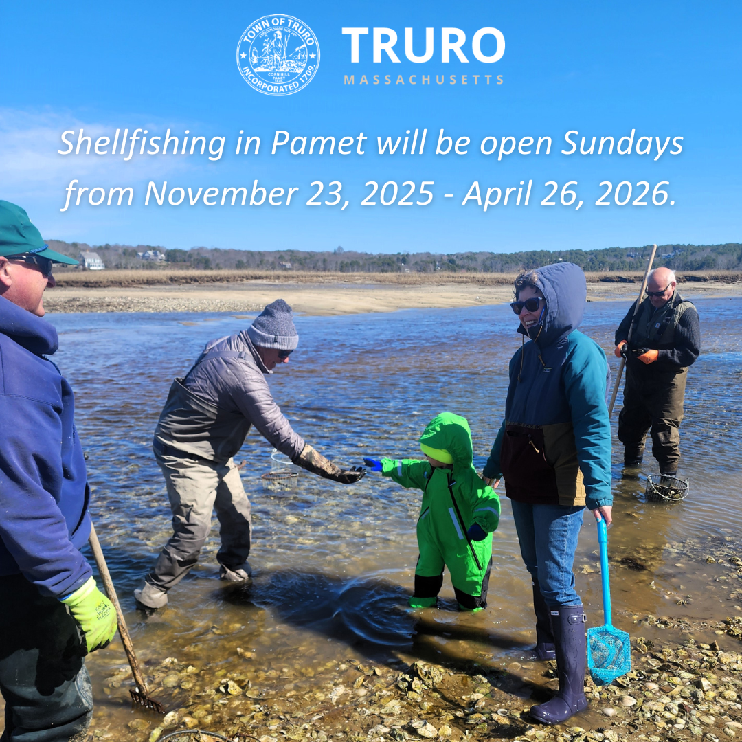 Shellfishing Opens (2)