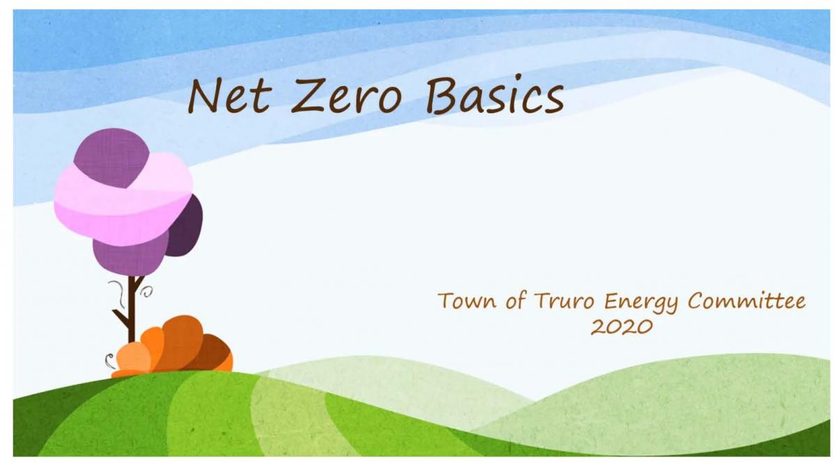 Net Zero 