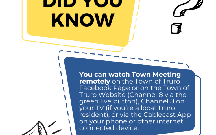 Remote Viewing Information for Town Meeting
