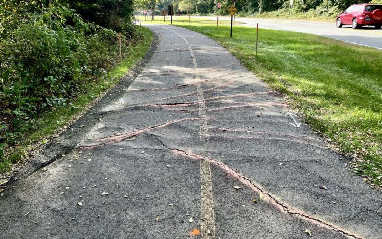 Image caption: The Nauset Bicycle Trail between Salt Pond Visitor Center and Doane Picnic Area will be closed for safety repairs